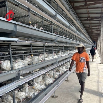 Tipo H attrezzature per gabbie automatiche di pollo galvanizzate a caldo per allevamenti di polli