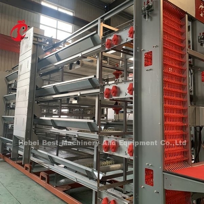 Prezzo franco fabbrica sull'attrezzatura completamente automatica professionale della gabbia del pollo per l'iride della Camera di pollo