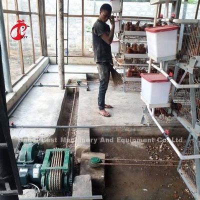 Tipo automatico della ruspa spianatrice e della cinghia del concime progettato per l'azienda agricola di pollo sabbiosa