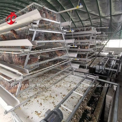 Tipo automatico della ruspa spianatrice e della cinghia del concime progettato per l'azienda agricola di pollo sabbiosa