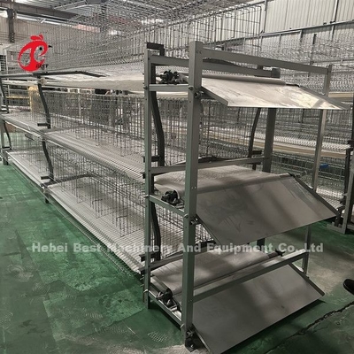 Tipo automatico della ruspa spianatrice e della cinghia del concime progettato per l'azienda agricola di pollo sabbiosa