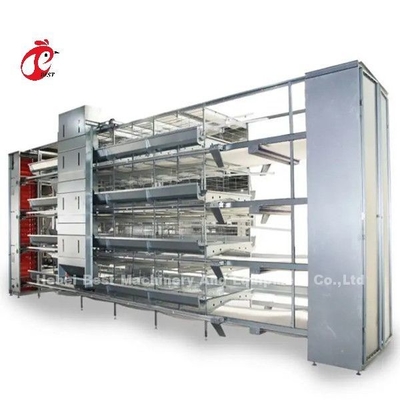 Equipaggiamento per gabbie di polli automatiche per 25000 uccelli