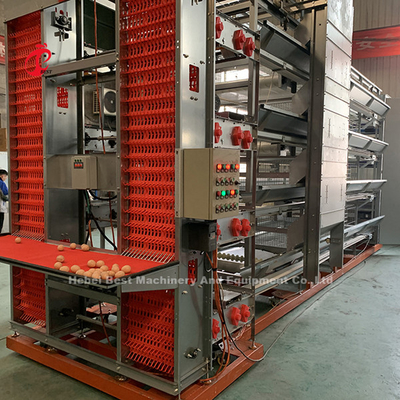 Equipaggiamento per gabbie di polli automatiche per 25000 uccelli