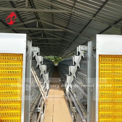 Sistema di alimentazione automatico per gabbia per polli utilizzato nella fattoria di polli per polli Mia