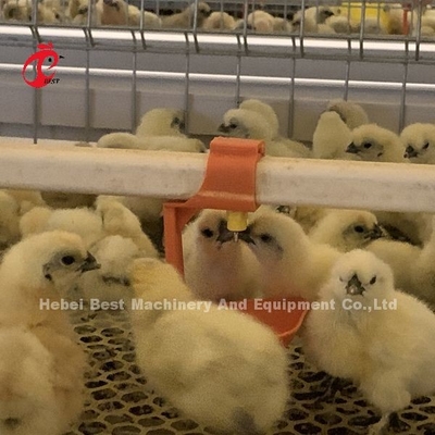 Pratica 380V Chick Brooder Cage Per Giorno Vecchio Strato Coltivatore di Polli In Africa Agricola Iris
