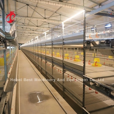 Pratica 380V Chick Brooder Cage Per Giorno Vecchio Strato Coltivatore di Polli In Africa Agricola Iris