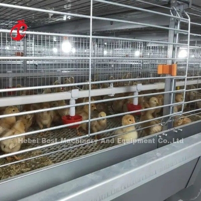 Sistema di gabbia per polli di pollo di tipo H automatico