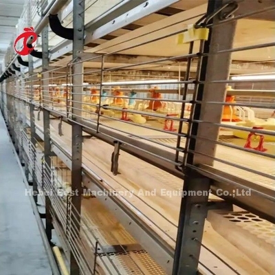 Sistema di gabbia per polli di pollo di tipo H automatico
