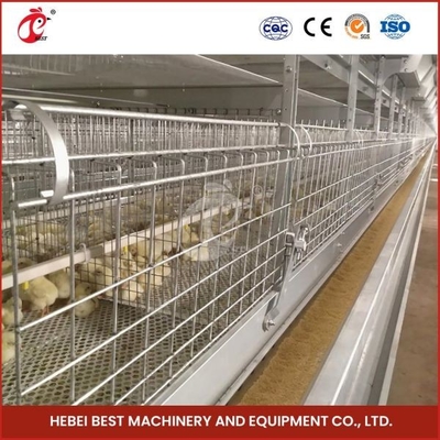 Tipo automatico Chick Pullet Cage High Capacity del giorno scorso Adela della gabbia per polli moderna lunga H di durata della vita