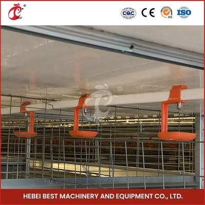 Tipo automatico Chick Pullet Cage High Capacity del giorno scorso Adela della gabbia per polli moderna lunga H di durata della vita