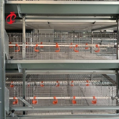 L'incubatrice galvanizzata immersa calda del pollo 4tiers ingabbia il sistema Doris Shi automatizzata piena