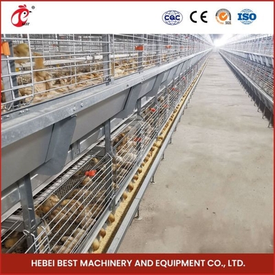Più alta sopravvivenza Rate Ada di strato degli uccelli del giorno scorso di Chick Brooding Cage Equipment 208