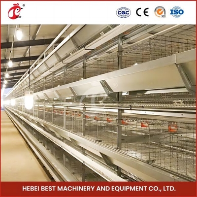 Lunghezza automatica galvanizzata calda Mia degli uccelli 1.2m di Chick Brooder Cage 192 del bambino della pollastra
