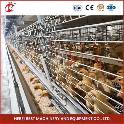 90-200 sistema automatico Rosa della gabbia del pollo di capacità dei polli