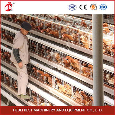 Un tipo attrezzatura automatica piena della gabbia del pollo per l'azienda avicola di 20.000 capacità sabbiosa