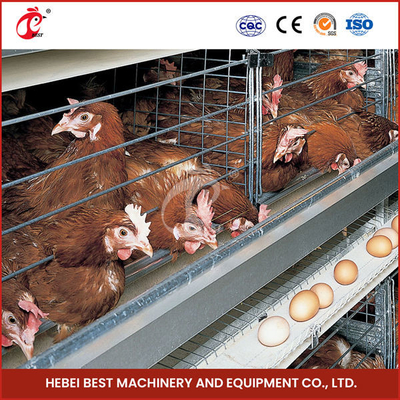 3/4/5/6 di tipo automatico dell'attrezzatura H della gabbia in batteria del pollo di Tires per gli strati coltiva Emily