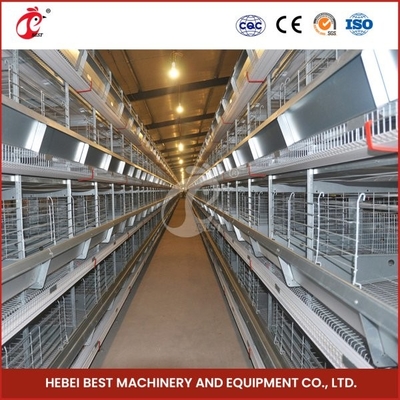 Gabbie in batteria automatiche del pollame delle galline ovaiole di progettazione dell'azienda avicola 144 uccelli da vendere Mia
