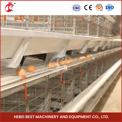 432cm2 Area Bird Chick Brooder Cage con 6 livelli e rosa durevole