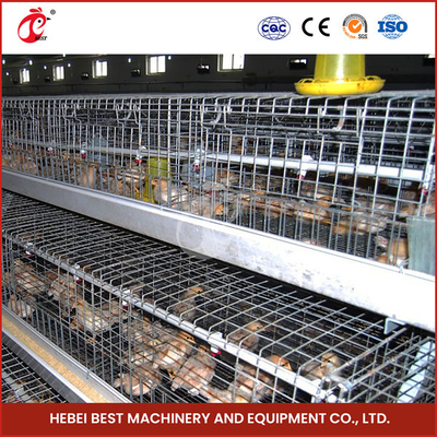 Ada anziano del pollo di strato di Chick Brooder Cage For Day della pollastra automatica dell'azienda avicola