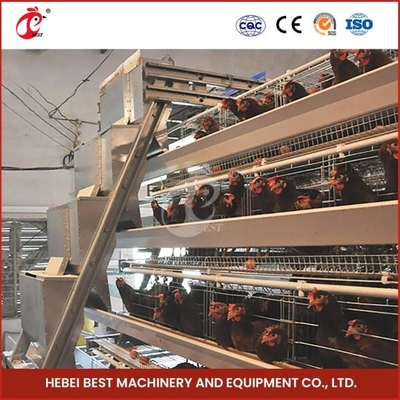 Azienda 20000 il tipo gabbia automatica Mia delle galline ovaiole di deposizione delle uova A/H del pollo