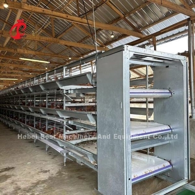 Gabbia in batteria automatica del pollo degli uccelli di strato 160 per l'azienda avicola Emily