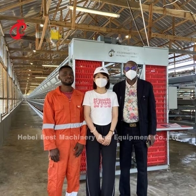 Gabbia a strato per polli da 110 kg con bevitori automatici per covo per polli Doris