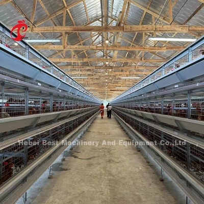 Gabbia in batteria automatica del pollo degli uccelli di strato 160 per l'azienda avicola Emily
