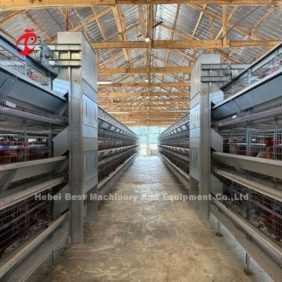 120 gabbie in batteria azienda agricola automatica Doris di strato di H o di A del pollame di capacità degli uccelli