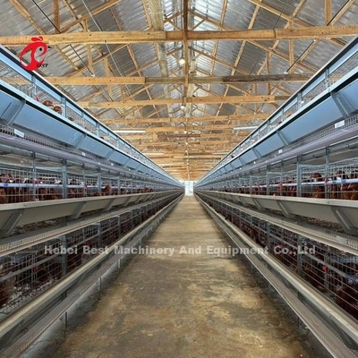 120 gabbie in batteria azienda agricola automatica Doris di strato di H o di A del pollame di capacità degli uccelli