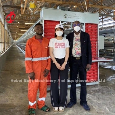 Equipaggiamento di sollevamento dello strato a batteria 200 Birds H Tipo di gabbia automatica con installazione video Doris