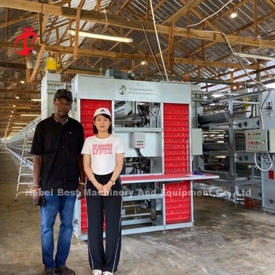 Gabbie di allevamento di pollame elettro-galvanizzate con sistema automatico di alimentazione e irrigazione Doris