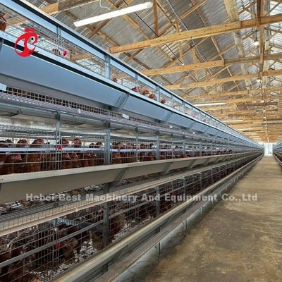 120 gabbie in batteria azienda agricola automatica Doris di strato di H o di A del pollame di capacità degli uccelli