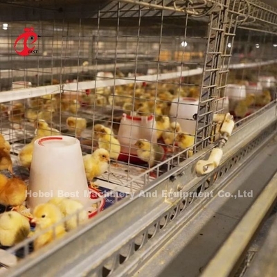 Pulizia manuale Cage di incubatore automatico di pulcini tipo H Metallo per polli Adela