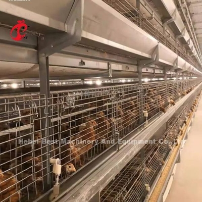 Q235 Acciaio più resistente filo di galleggiante gabbia di pollo 1,5 m x 2,2 m x 1,75 m Adela