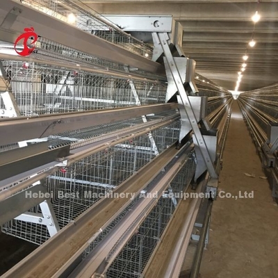 Sistema di gabbia a batteria a 3/4/5 livelli per l'iride della fattoria di pollame a strato automatizzato