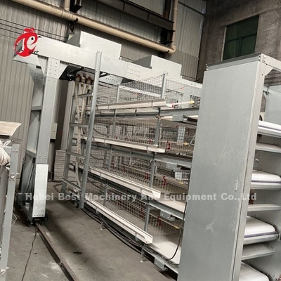 3 Livello 45 Giorni gabbia di pollo Iris altamente resistente