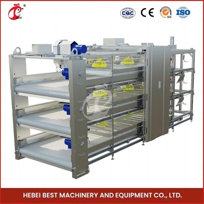 96 uccelli tipo H gabbia automatica per polli / gabbia per polli tipo broiler con porta scorrevole rosa