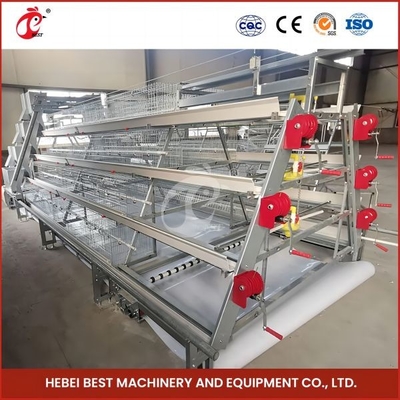 Allevamento automatico Broiler automatico Chicken Cage Rose