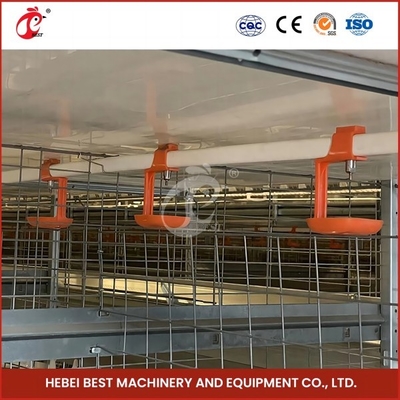 Allevamento automatico Broiler automatico Chicken Cage Rose