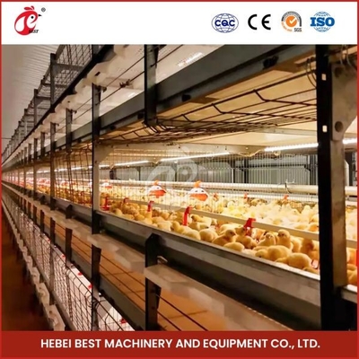 96-128 Polli Broiler gabbia di pollo Mia completamente automatica