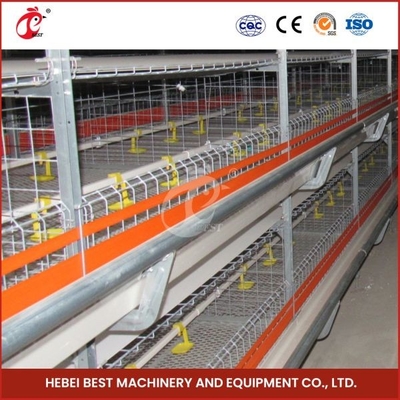 96-128 Polli Broiler gabbia di pollo Mia completamente automatica