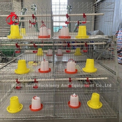 Gabbia per polli di pollo di tipo A o H