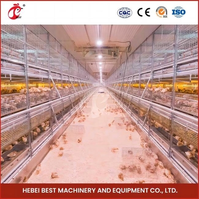 Tipo H Cage di allevamento di pulcini incubatori sistema di alimentazione automatico completo rosa