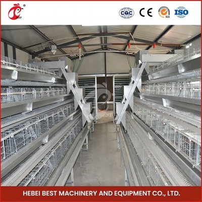 96 uccelli tipo H gabbia automatica per polli / gabbia per polli tipo broiler con porta scorrevole rosa
