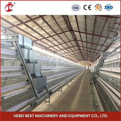 Cage Mesh Tipo H Broiler Chicken Cage con ventilazione per uccelli sani