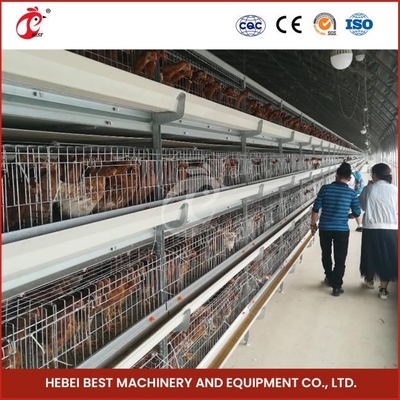 12 cellule tipo A Chicken Cage con 3 livelli Fast Shipping Mia