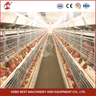 Risparmio di spazio Sistema automatico di gabbia per polli da pollo per 120-200 polli
