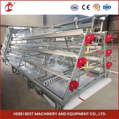 1.6m larghezza 4 strati di gabbia per pollame Rose