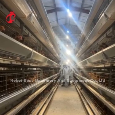 Batteria di pollo affidabile Cage di strato di pollame 7 livelli Iris