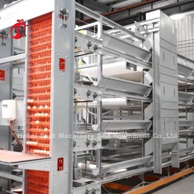 Batteria di pollo affidabile Cage di strato di pollame 7 livelli Iris